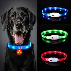 Leuchthalsband für Hunde Oladwolf – Aufladbares LED-Hundehalsband