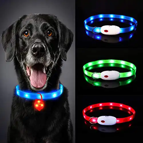 Leuchthalsband für Hunde Oladwolf – Aufladbares LED-Hundehalsband