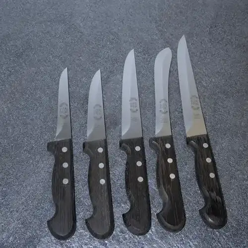 Fleischermesser-Set von Ro-Da – 5-teiliges Messerset mit Holzgriff