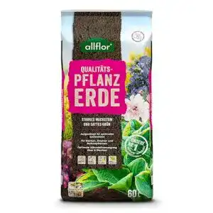 Pflanzerde Allflor 1 x 60 Liter Beutel – Gebrauchsfertige Blumenerde
