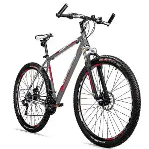 Bergsteiger Detroit 29 Zoll Mountainbike für Herren und Jugendliche