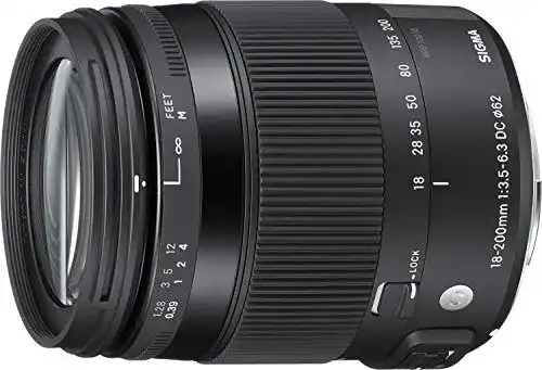 Sigma 18-200mm F3,5-6,3 DC Macro OS HSM Contemporary für Sony