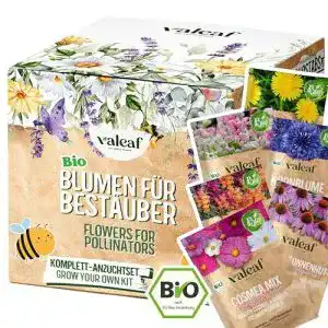 Bienenfutter Valeaf Bio Blumen Samen Starter Kit für Bienenfreundliche Blumen