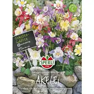 Akelei-Samen von Sperli – Langgespornte Mischung