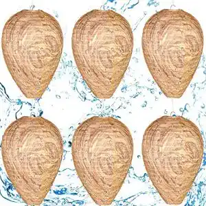 Wespennest-Attrappe von Augshy wasserdicht und für den Außenbereich