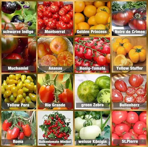 Tomatensamen Prademir Set mit 16 alten und seltenen Sorten
