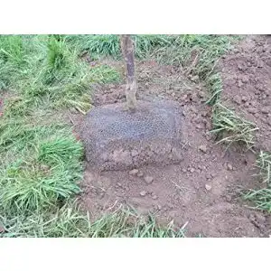 Maulwurfgitter für Garten, 5 Stück Wühlmausdraht
