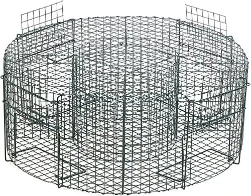 Vogelfalle Garthein 75cm für lebendigen Fang von Tauben und anderen Vögeln