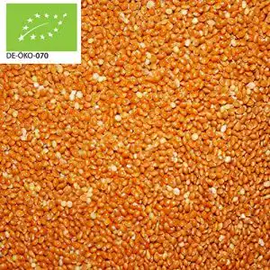 Braunhirse Bio 2000g – Nachhaltig verpackt und unbehandelt