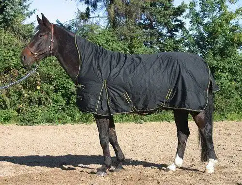 Pferdedecke JW Reitsport Highneck Winterdecke 100g schwarz