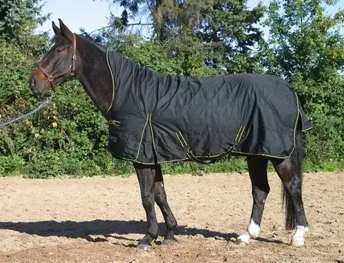 Pferdedecke JW Reitsport Highneck Winterdecke 100g schwarz