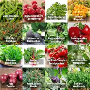 Gemüsesamen Prademir Indoor-Mix Set mit 16 Sorten Gemüse