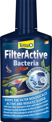 Aquarium-Bakterien Tetra FilterActive Bacteria 2in1 Mix