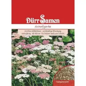 Schafgarbe Samen Edelgarbe Mischung für Garten und Landschaft
