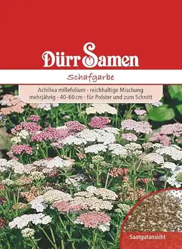 Schafgarbe Samen Edelgarbe Mischung für Garten und Landschaft