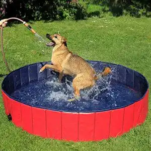 Faltbarer Hundepool lionto – kratzfest, Ø 160 cm, Anti-Rutsch-Belag