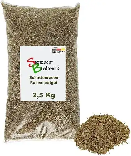 Schattenrasen-Samen von Saatzucht Bardowick für schattige Flächen