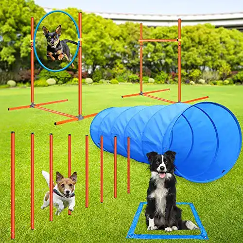 Agilitygeräte Aystkniet Agility Set für Hunde – 5-teiliges Set