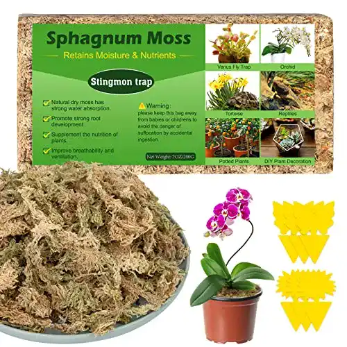 Sphagnum Moos für Pflanzen und Orchideen 200g Organisches Torfmoos