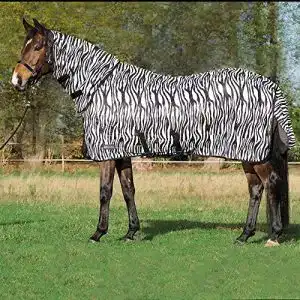 Busse Outdoor-Fliegendecke Comfort Pro Zebra für Pferde
