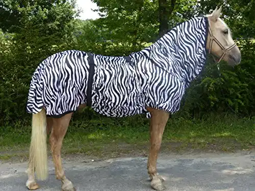 Ekzemerdecke für Pferde – Hafer24 Fliegendecke Marty Zebra