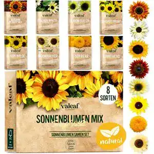 Sonnenblumen Samen Set mit 8 Sorten von valeaf