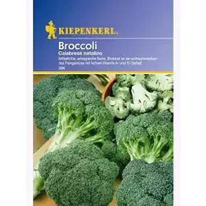 Brokkoli-Samen Kiepenkerl Calabrese Natalino für den Garten