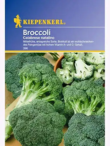 Brokkoli-Samen Kiepenkerl Calabrese Natalino für den Garten