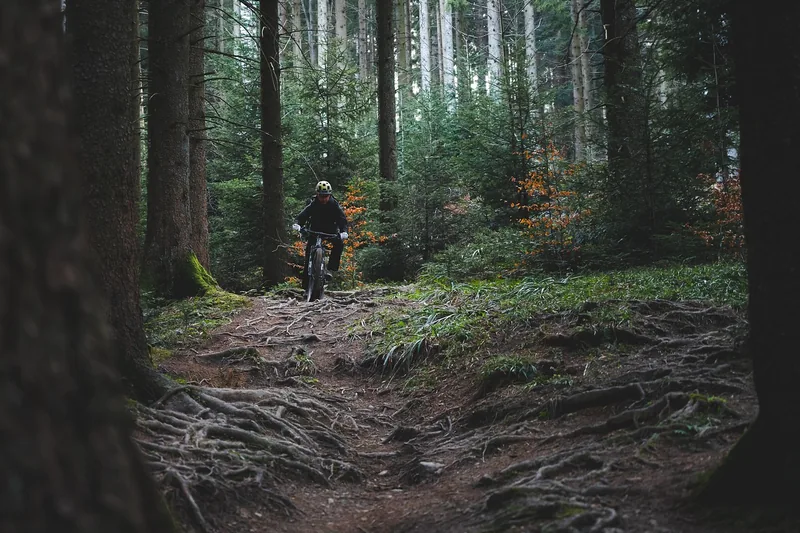 Malerische Herbstlandschaft mit einem kurvigen Mountainbike-Weg, symbolisiert das Radfahrerlebnis in der Natur.