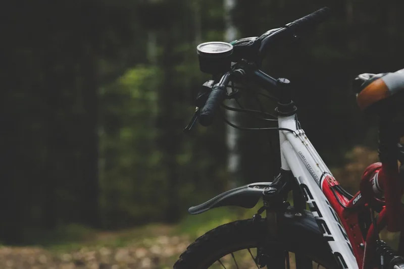 Ein atemberaubender Blick auf einen Mountainbike-Trail durch einen Wald, aufgenommen aus Perspektive.