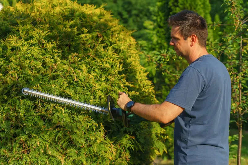 Eine Person schneidet eine Hecke mit einer Akku-Heckenschere im Garten, Fokus auf die Anwendung des Geräts.