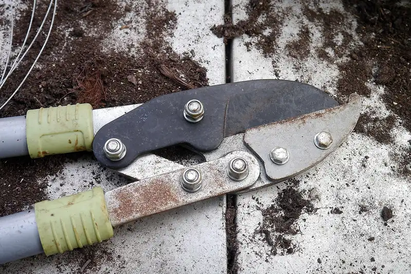 Gepflegte Gartenlandschaft mit sauber beschnittenen Bäumen und Büschen nach getaner Arbeit.