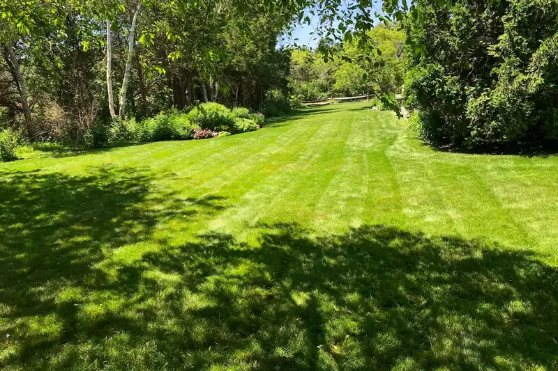 Perfekt gemähter, grüner Rasen in einem sonnigen Garten, Ergebnis der Akku-Rasenmäher-Pflege.