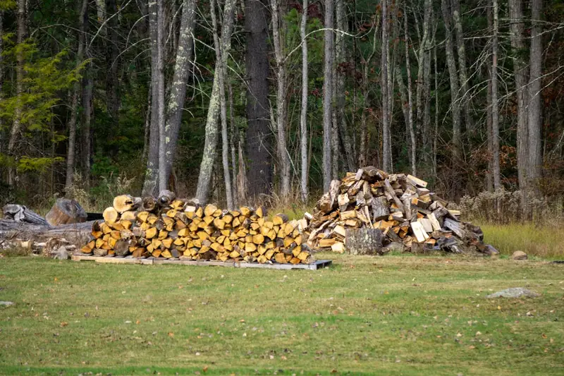 Gestapeltes Brennholz im sonnigen Garten neben einem Baum