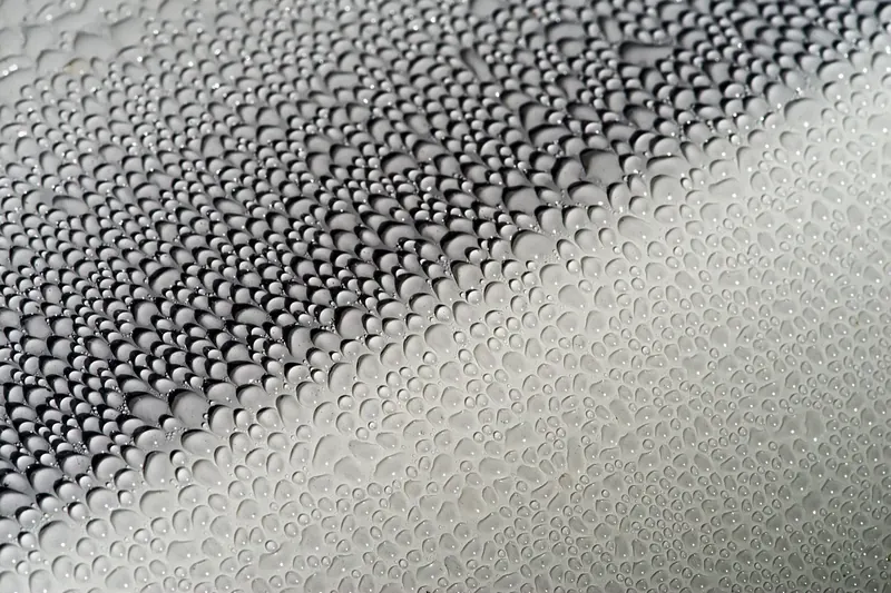 Ein glänzendes, frisch gewaschenes Auto spiegelt die Sonne wider – makelloses Finish nach der Pflege.