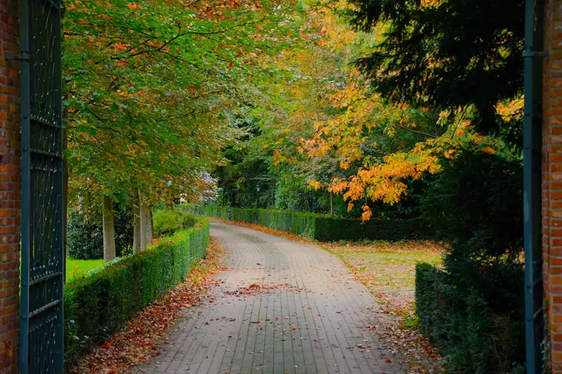 Ein sauber gekehrter Gartenweg im Herbst, frei von Laub und Schmutz nach der Reinigung mit einer Benzin-Kehrmaschine.
