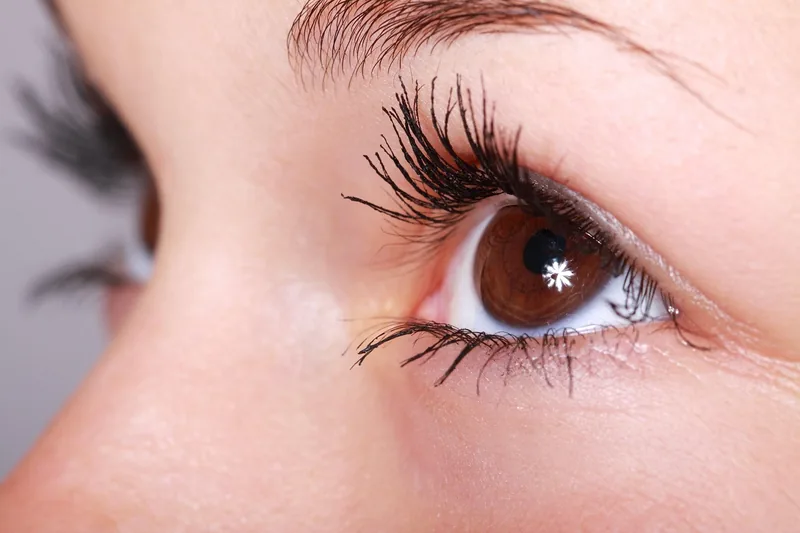 Detailaufnahme von langen, vollen Wimpern als Ergebnis der Anwendung eines Wachstums-Serums.