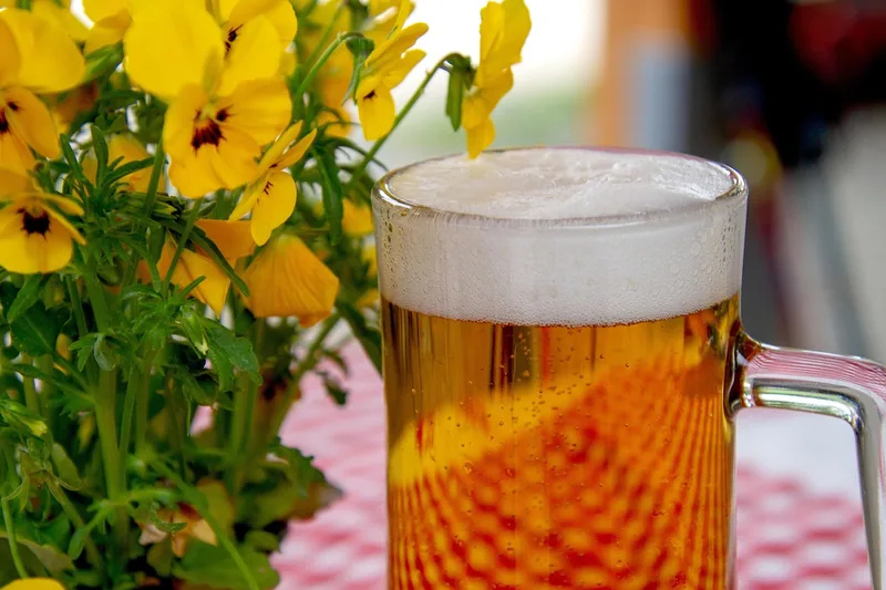 Freunde genießen frisch gezapftes Bier bei einer Gartenparty im gemütlichen Ambiente.