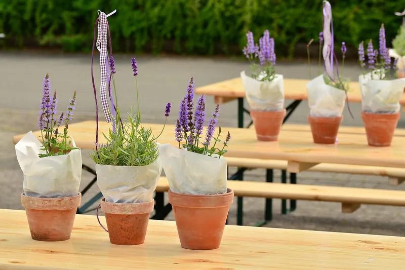Fröhliche Gartenparty-Szene mit einer Bierzeltgarnitur, die für gute Stimmung sorgt und gepflegt wird.