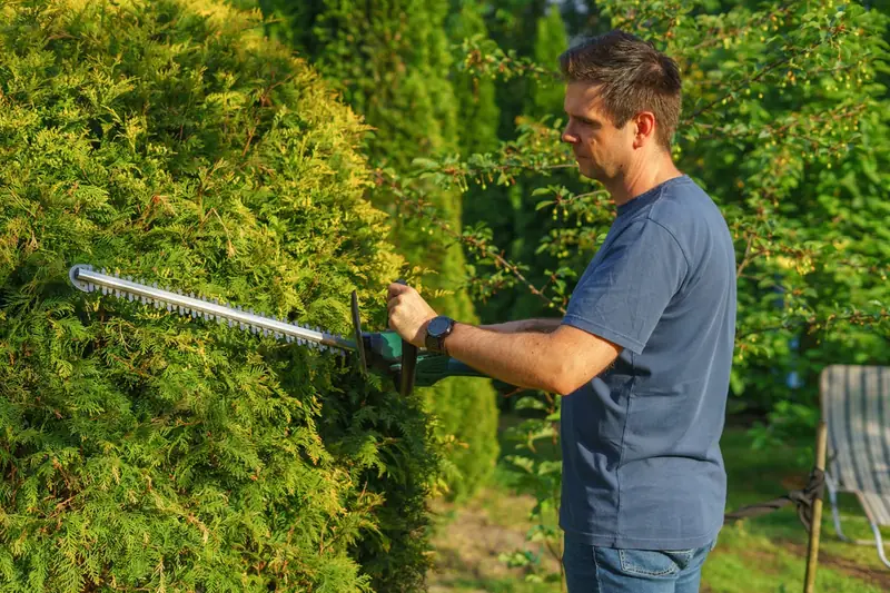 Eine Person schneidet sorgfältig eine hohe Hecke mit einer Akku-Heckenschere im Garten.