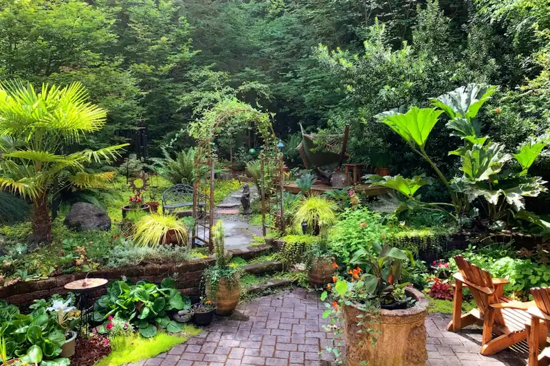Ein üppiger, vitaler Garten mit gesunden grünen Pflanzen, Ergebnis erfolgreicher Bittersalz-Düngung.