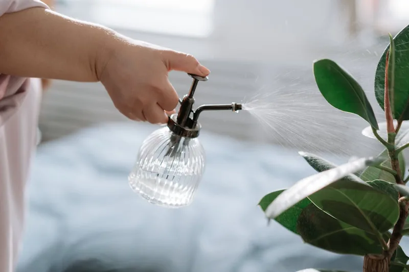 Nahaufnahme des Sprühkopfs einer Blattglanzspray-Flasche, Fokus auf Funktionalität und Detail.