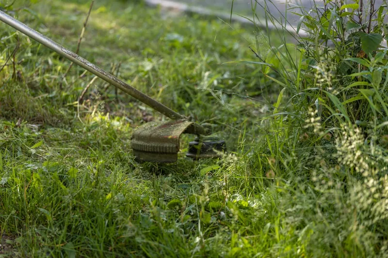Ein makellos gepflegter Gartenrasen mit scharf geschnittenen Kanten, Ergebnis effizienter Gartenpflege.