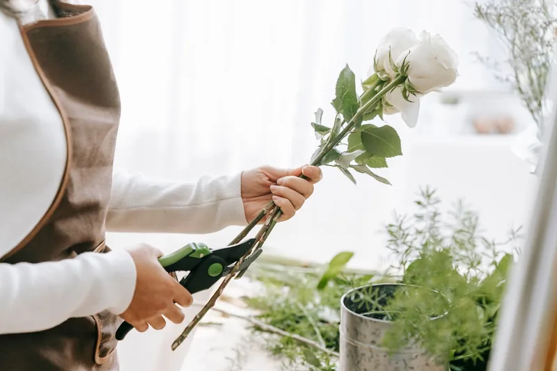 Hand benutzt eine Gartenschere zum Schneiden eines Blumenstiels