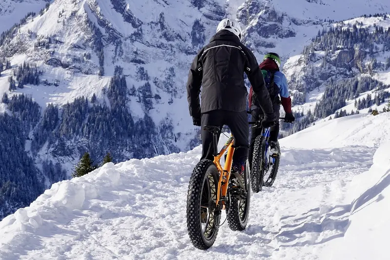Ein modernes Mountainbike steht auf einem malerischen Waldweg, bereit für das nächste Abenteuer in der Natur.