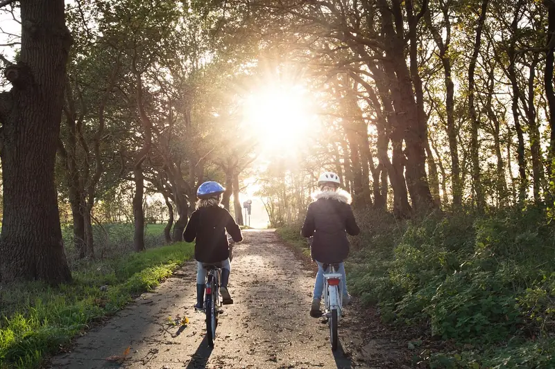 Abendlicher Radfahrer genießt beleuchtete Fahrt durch Park.