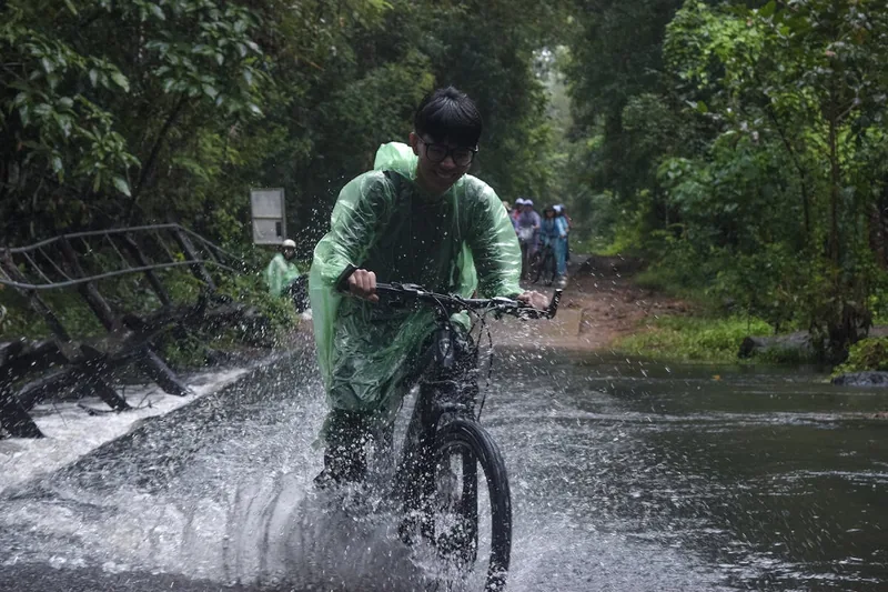 Ein Fahrrad mit wasserdichten Taschen fährt bei Regen auf einem malerischen Waldweg.