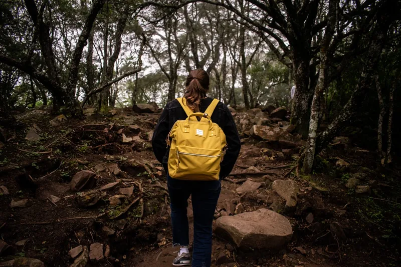 Person trägt einen faltbaren Rucksack auf einem Wanderweg, ideal für unterwegs und Sport.