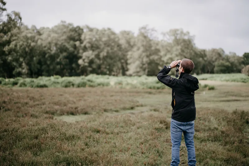 Eine Person beobachtet Vögel mit einem Fernglas in der Natur, fokussiert auf die Anwendung.