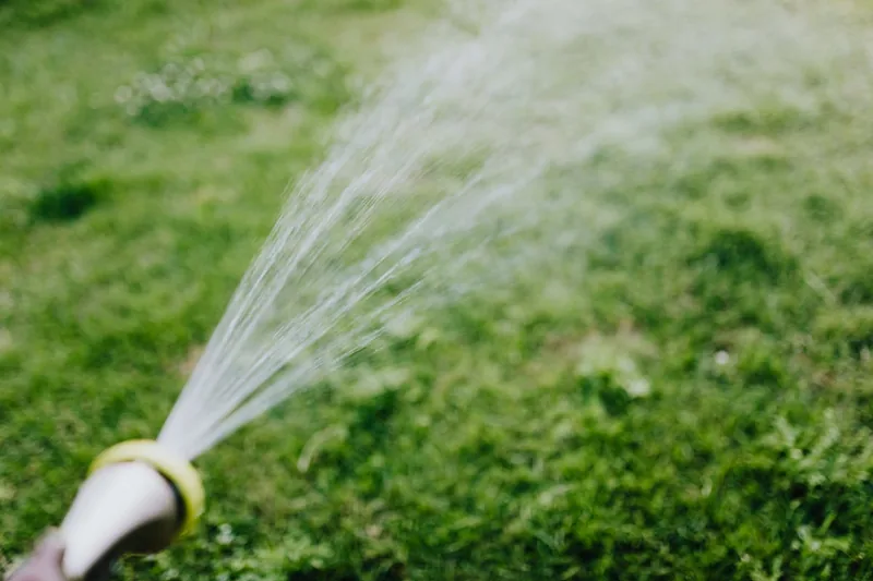 Ein gepflegter, grüner Garten mit blühenden Pflanzen, das Ergebnis effektiver Bewässerung durch einen Gartenschlauch.